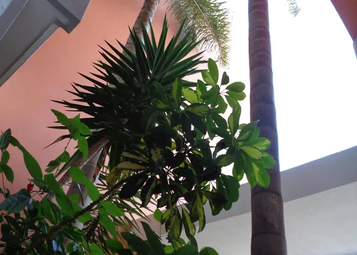 Apartment Arade Mar Portimão